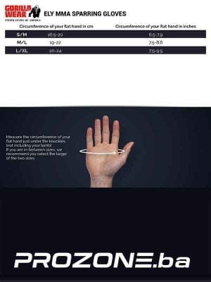 ELY MMA Rukavice za Sparing - Rukavice za Boks i MMA